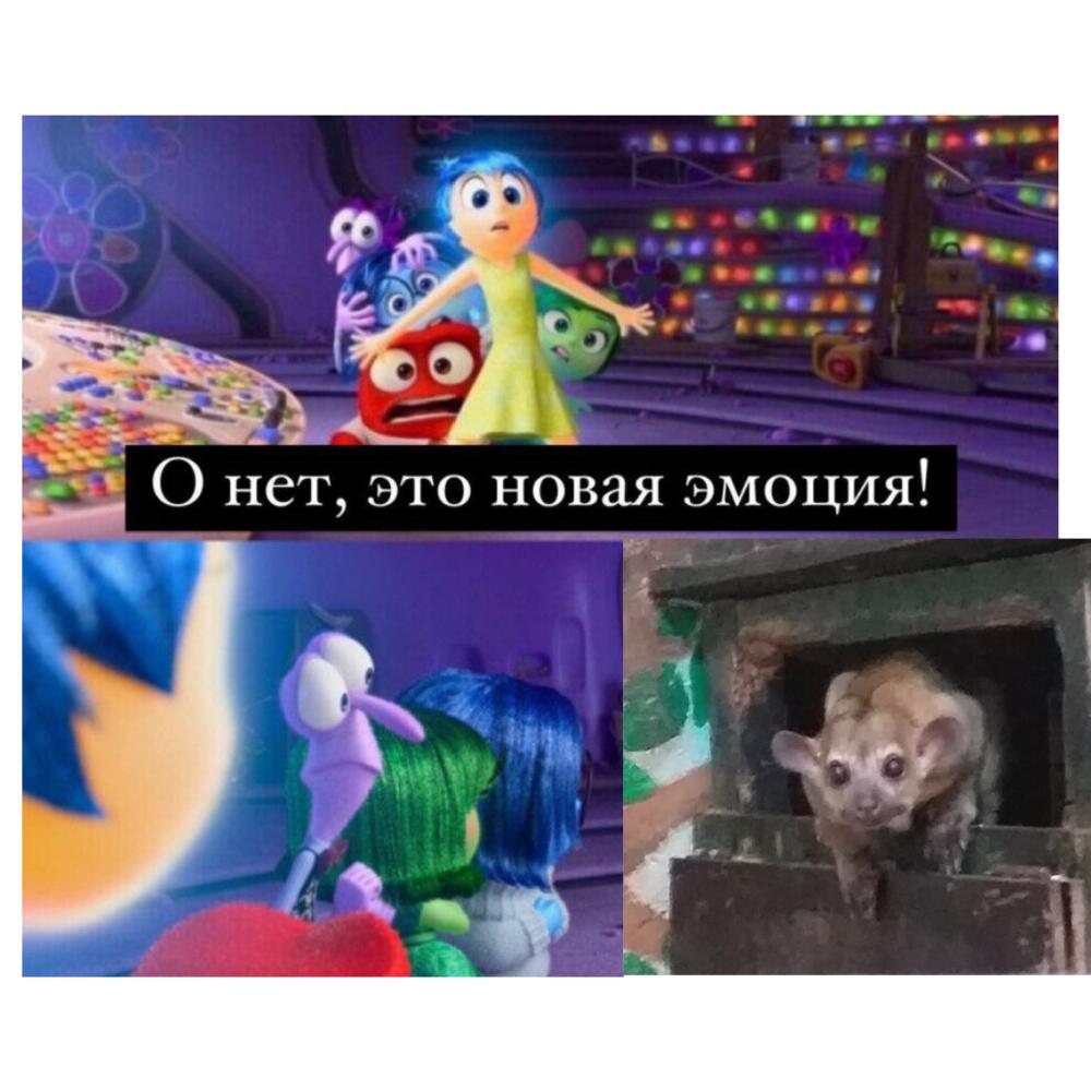 Мем от Мировая ассоциация мышей [ПЛМ]