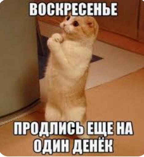 Успел!