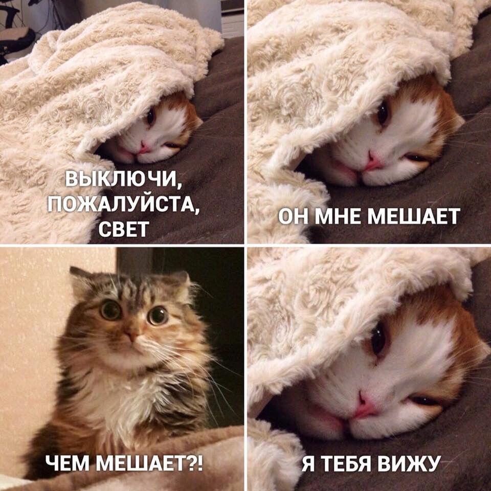 Смех