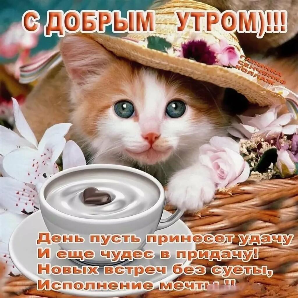 Для укрепления вида 40 летникого скуфа на юношеской платформе "мемозг", вот вам открыточка)