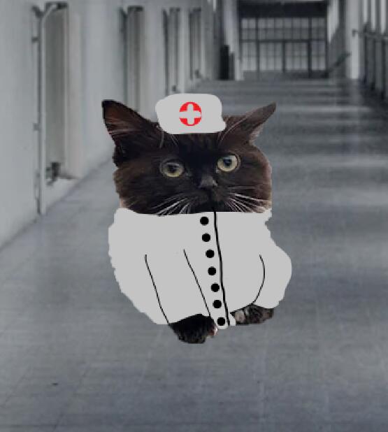 Чмоня Санитар