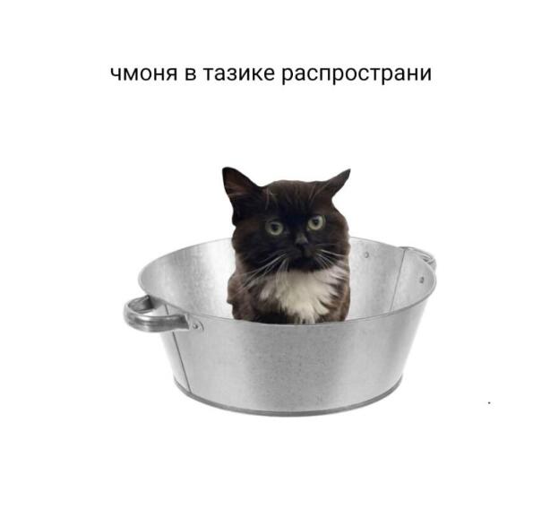 Мем без подписи
