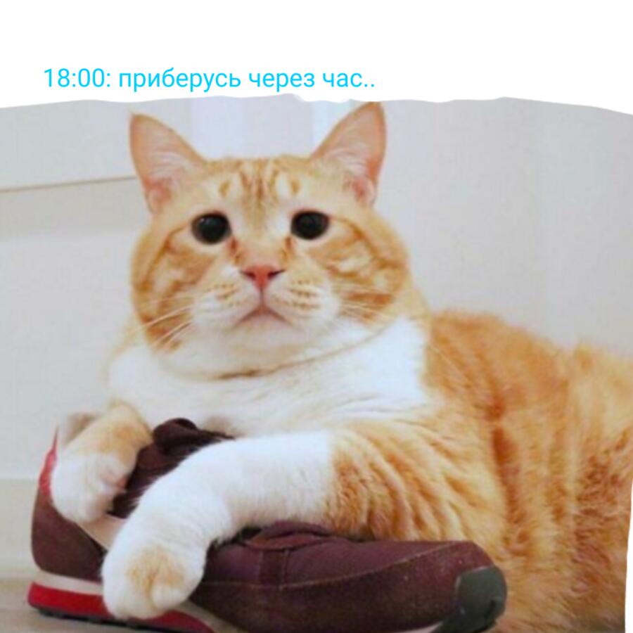 Когда дело доходит до уборки, то мы все становимся немного перфекционистами:)