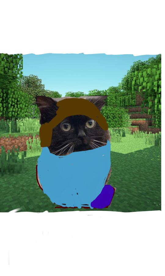 Чмоня майнкрафтер