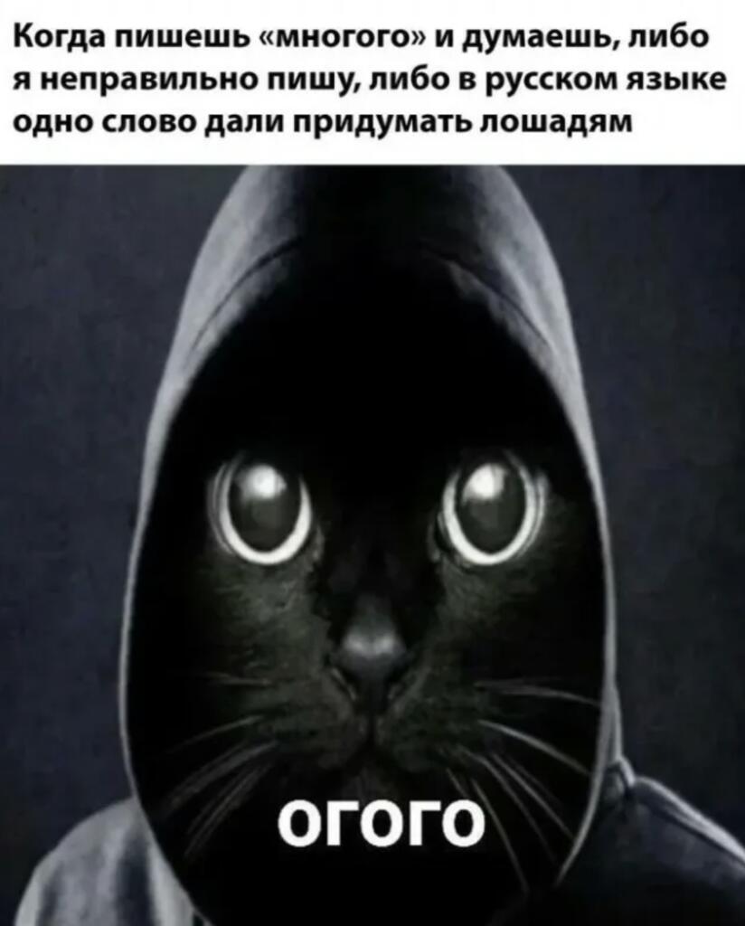 Текст