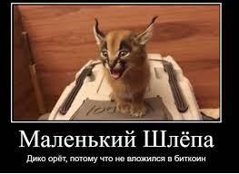 Я не маленький шлёпа потому что, я Small шлёпа. Внимание это было актуально в 2020!