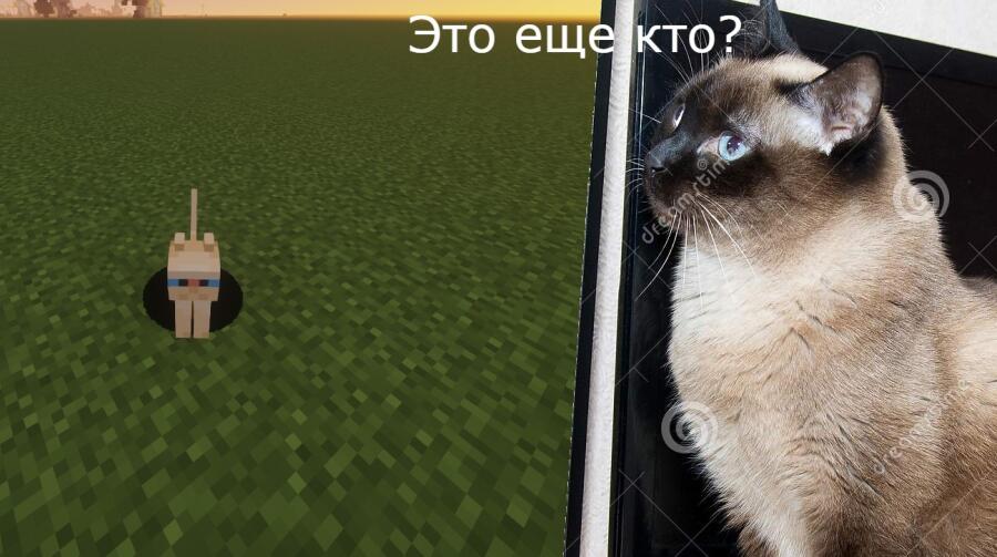 Когда котя решил поиграть в майнкрафт.
