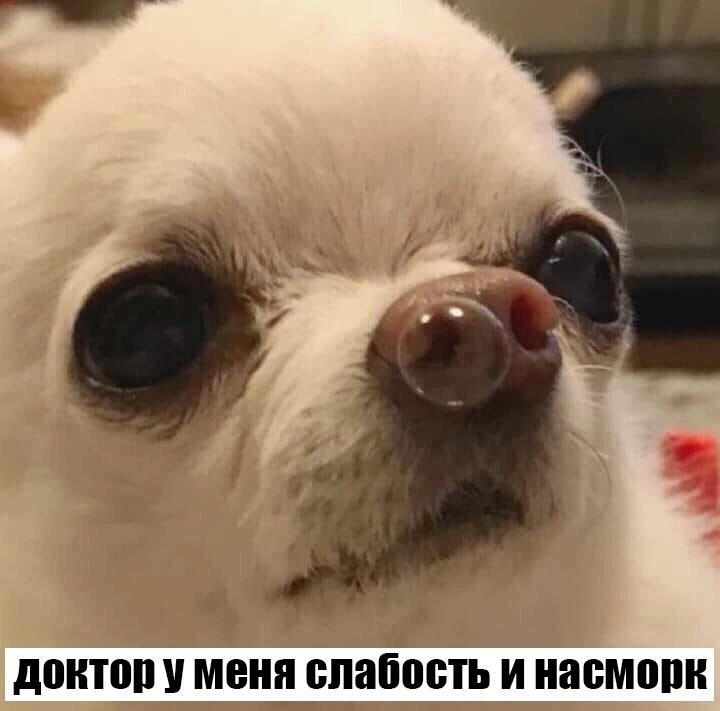 Пепы