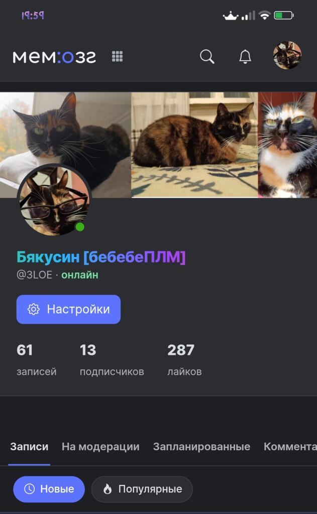 Скриншот профиля пользователя Бякусин с фотографиями черепаховых кошек, подписью @3LOE и статусом онлайн.