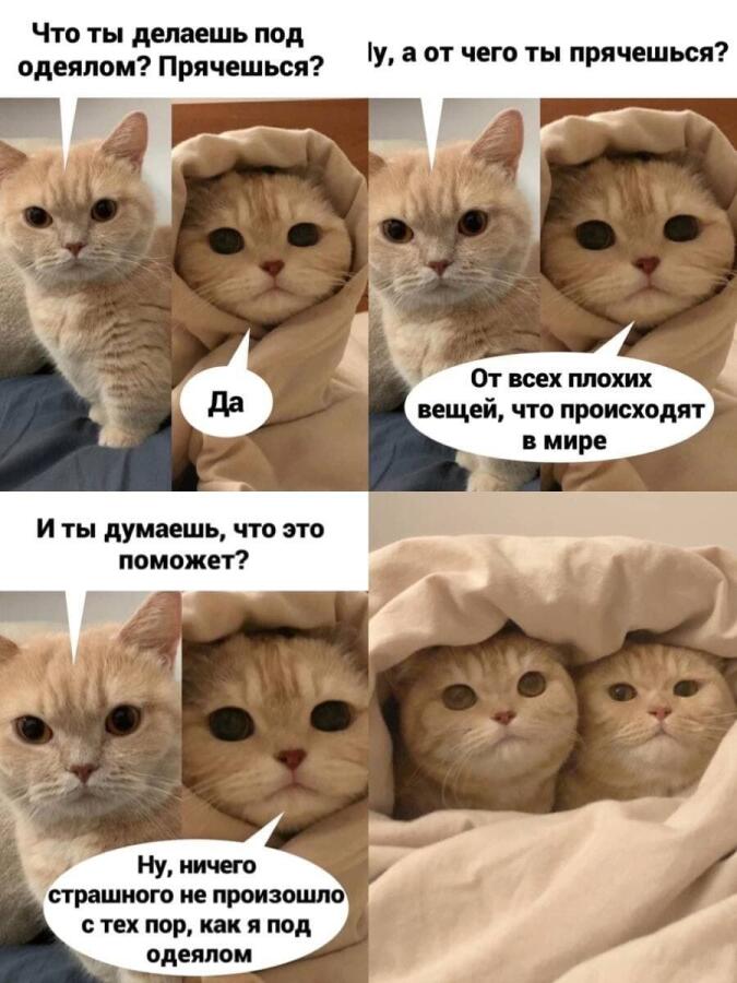 Защита от работы и всяких бет
