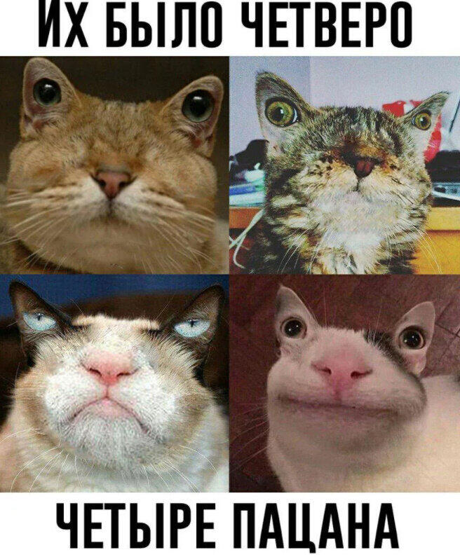 Эти пацаны мы с друзьями