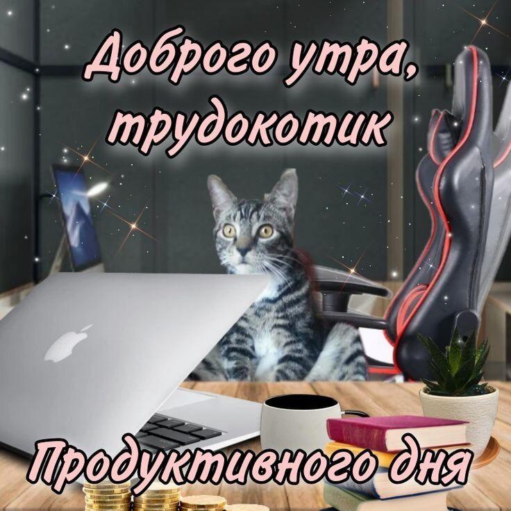 Полосатый кот сидит за столом с ноутбуком и надписью «Доброго утра, трудокотик. Продуктивного дня