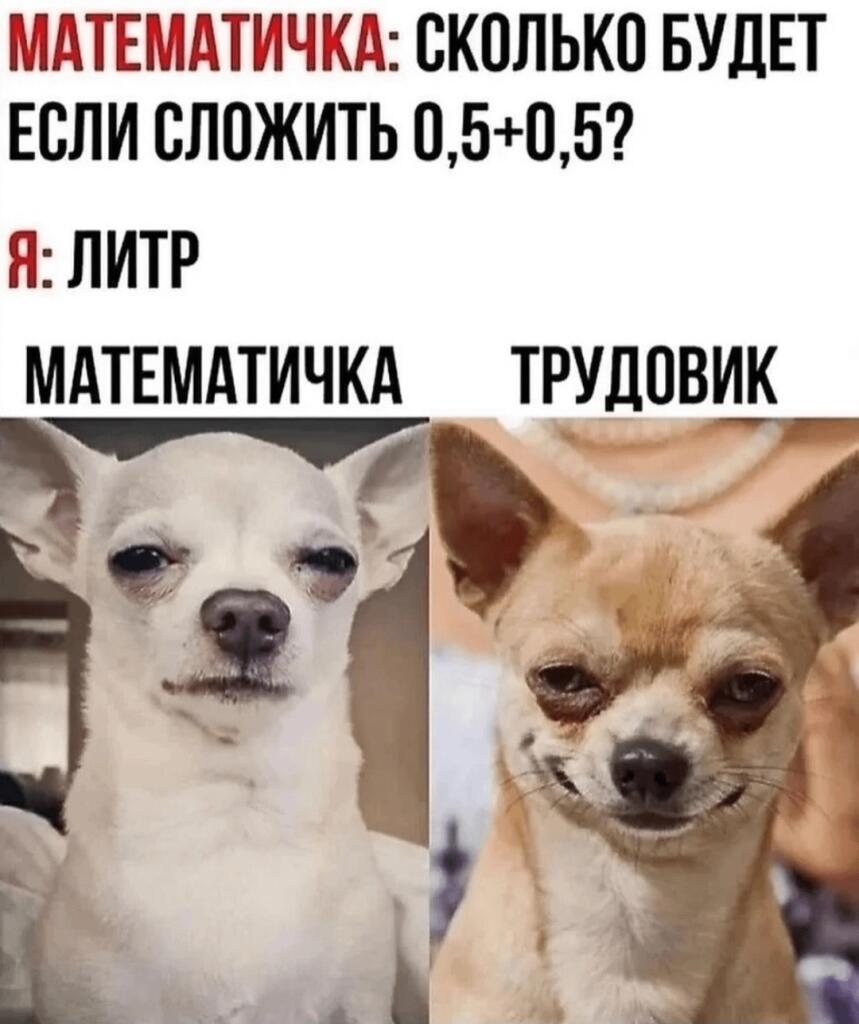 Мем без подписи