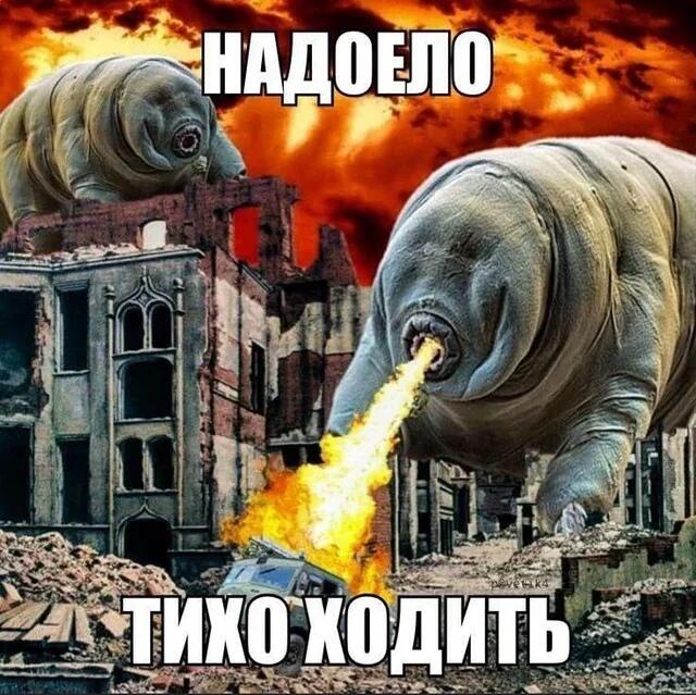 На фоне разрушенного города и огня изображены огромные тихоходки, одна из которых изрыгает пламя, а вторая стоит на руинах. Надпись: «НАДОЕЛО ТИХО ХОДИТЬ».
