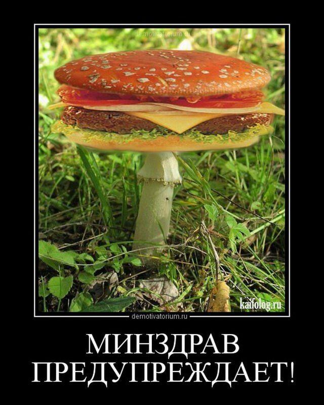 Фотожаба, где мухомор превращён в бургер с котлетой и сыром, с подписью Минздрав предупреждает