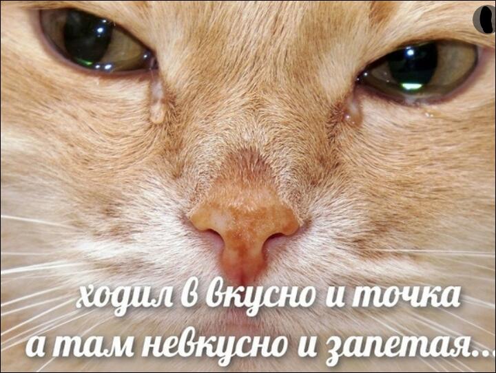 да