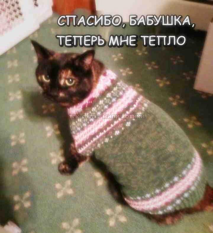 Мем от 🌸💥|цвяточный ад {ПЛМ}