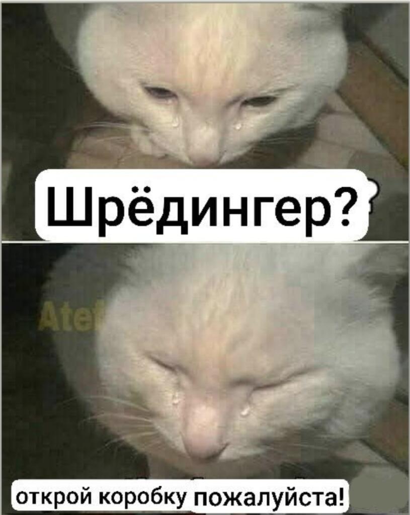 О нет, котик плачет! Ну вот зачем нужно было пихать котика и яд в одну...
