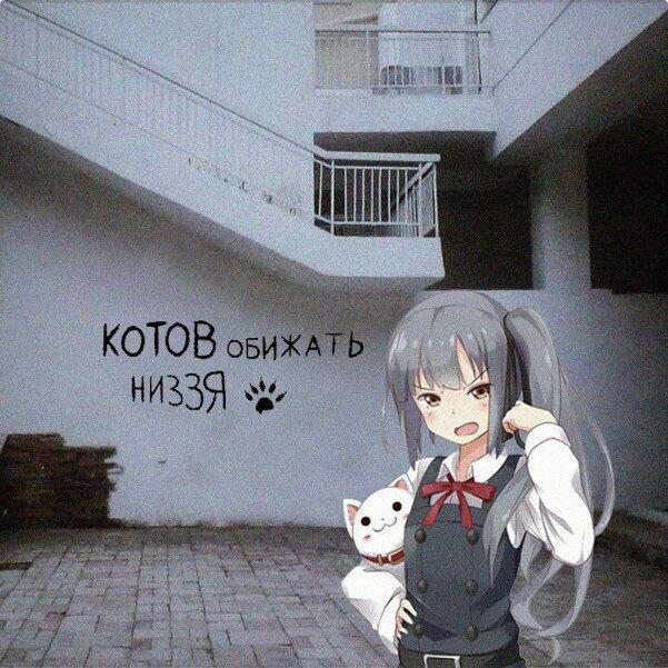 Мем без подписи