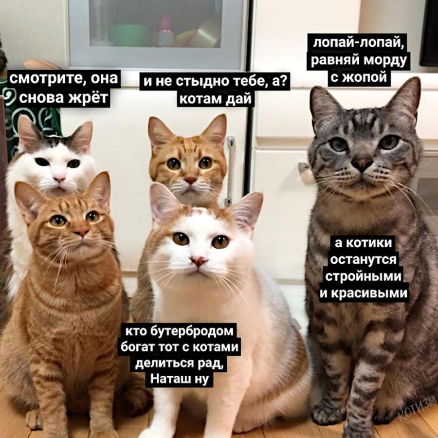 Мем от egor555yey