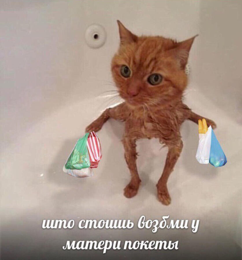 Ну реально, чего стоишь?