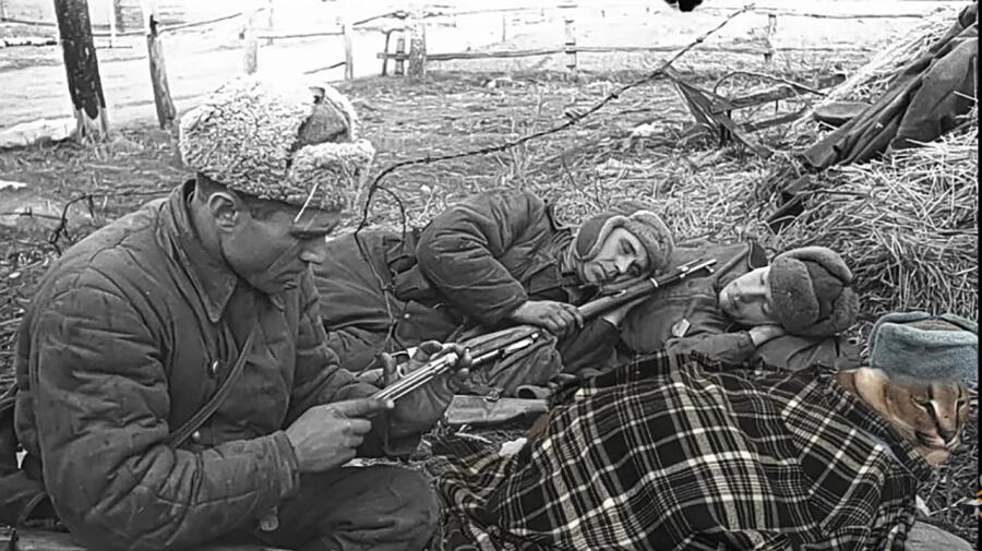 Шлёпа отдыхает вместо с товарищами. 1941 год