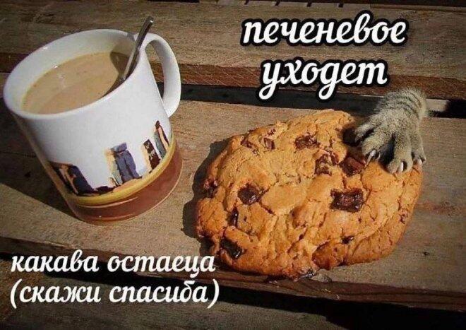 Мем без подписи