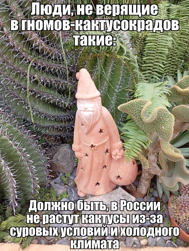 О нет! Не крадите меня!