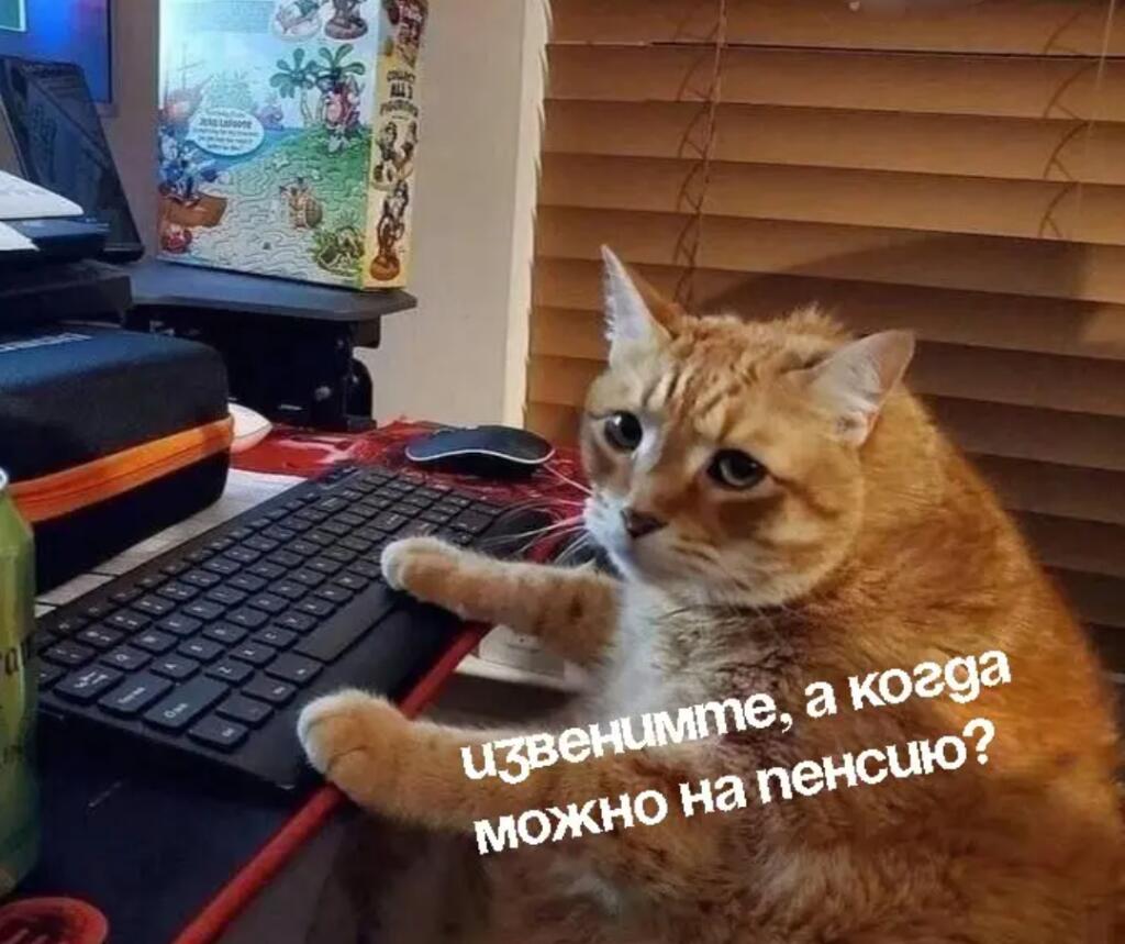 Мем от Мемный челик ²⁰²⁵ official