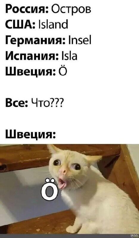 Мем без подписи