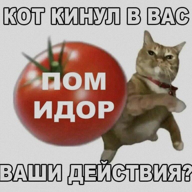 Мем без подписи