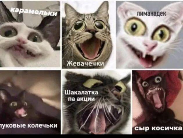 Немного чипсеков сухариков в ленту