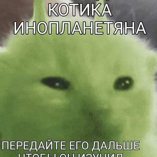 Мем от Limonchik_2271[ЛМП]