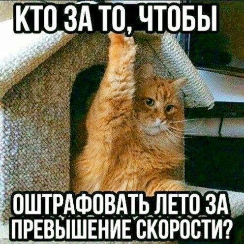 Абсолютно за. Пусть мне хотя бы компенсацию за скорость заплатят