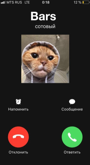 (\_/) ( •.•) /> https://t.me/boba_lol_xaxax (тг группа)