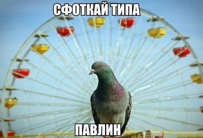 📸