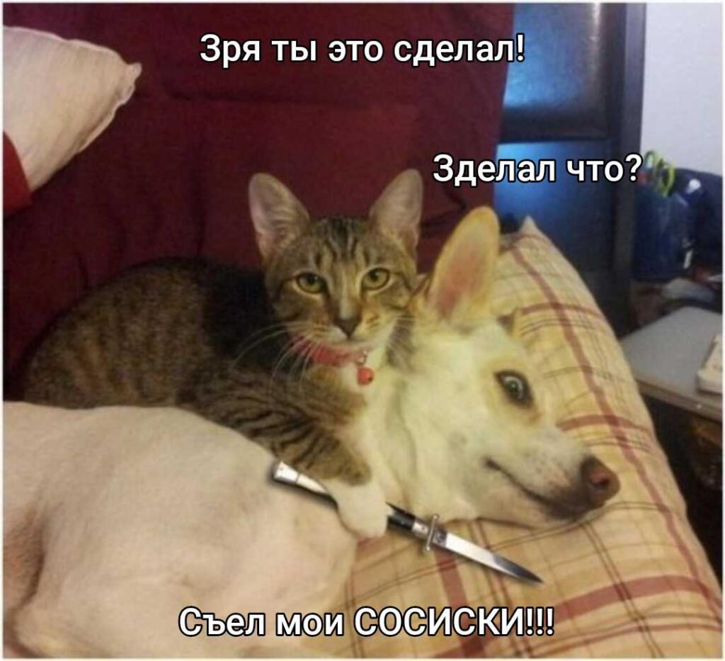 Мем без подписи
