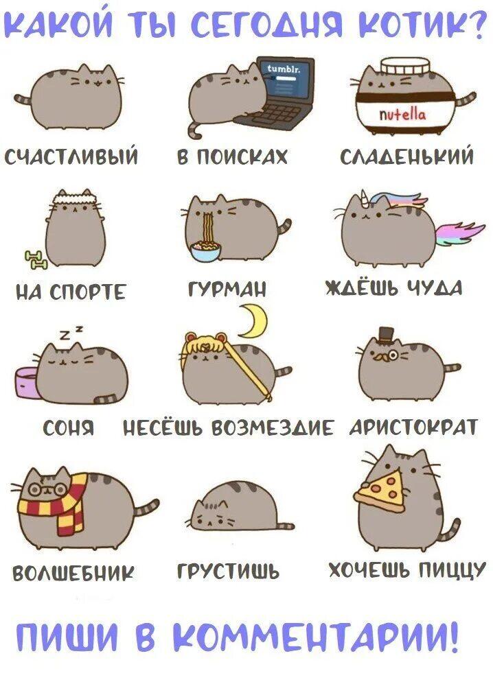 Какой вы кот?