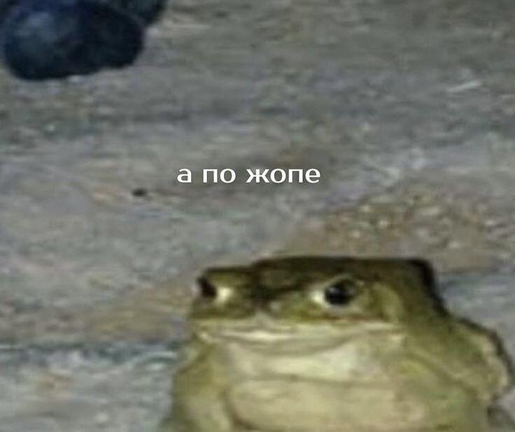 Мем от Froggy