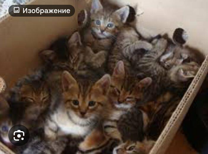 Когда едешь в автобусе с другими людьми
Ощущения: