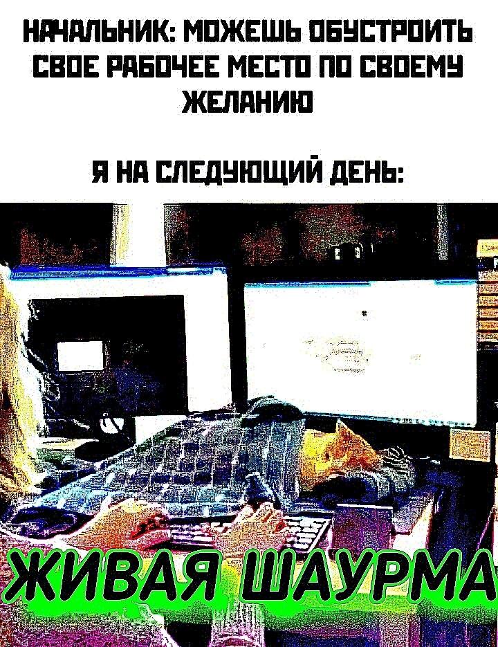 Всем привет, сколько времени уходит на проверку поста модерацией, а то чё то постик написал а он так и не отправился, мб