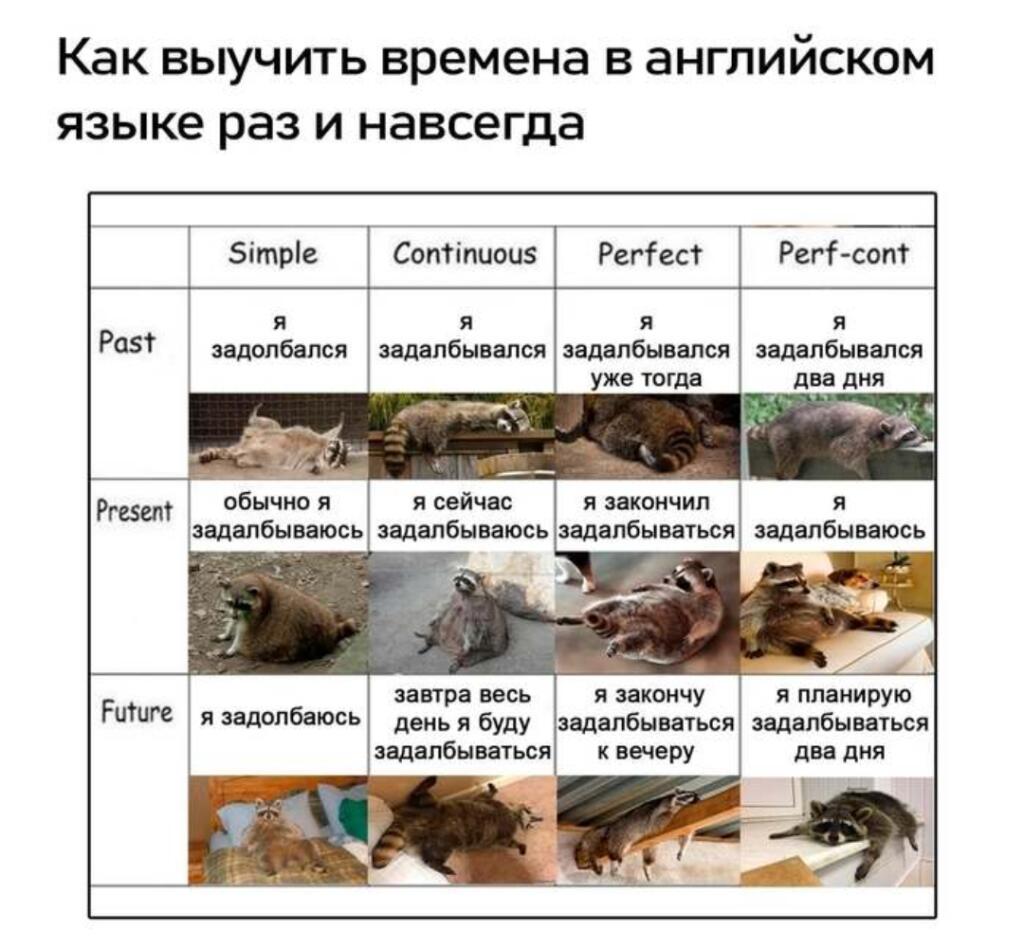 Запомните !