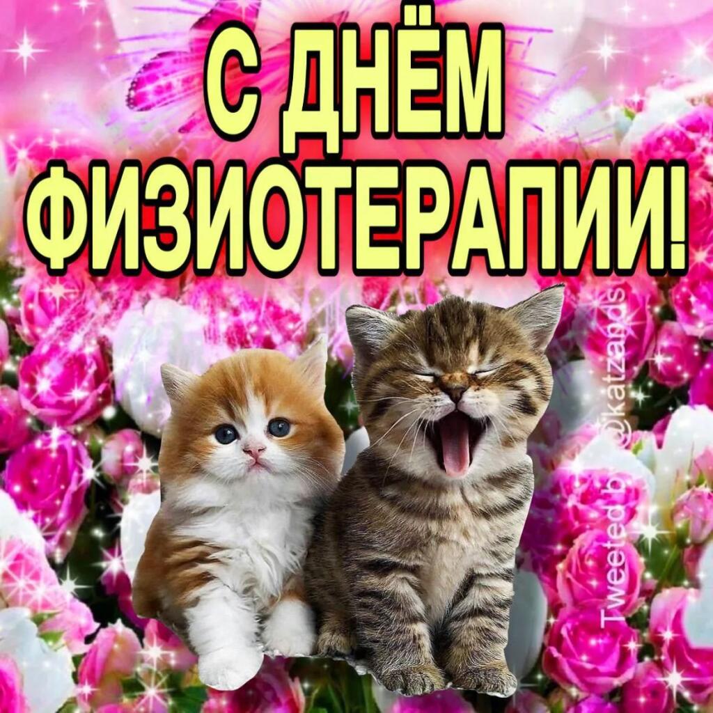 С днём физиотерапии! 8 Сентября - Отмечается день физиотерапии Это ког...