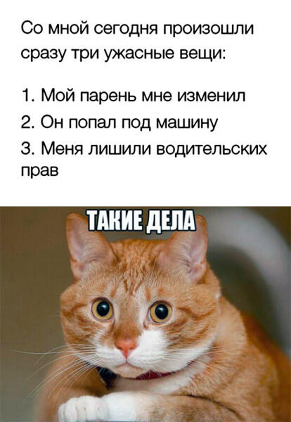 мега баянистый баян из всех баянных баянов