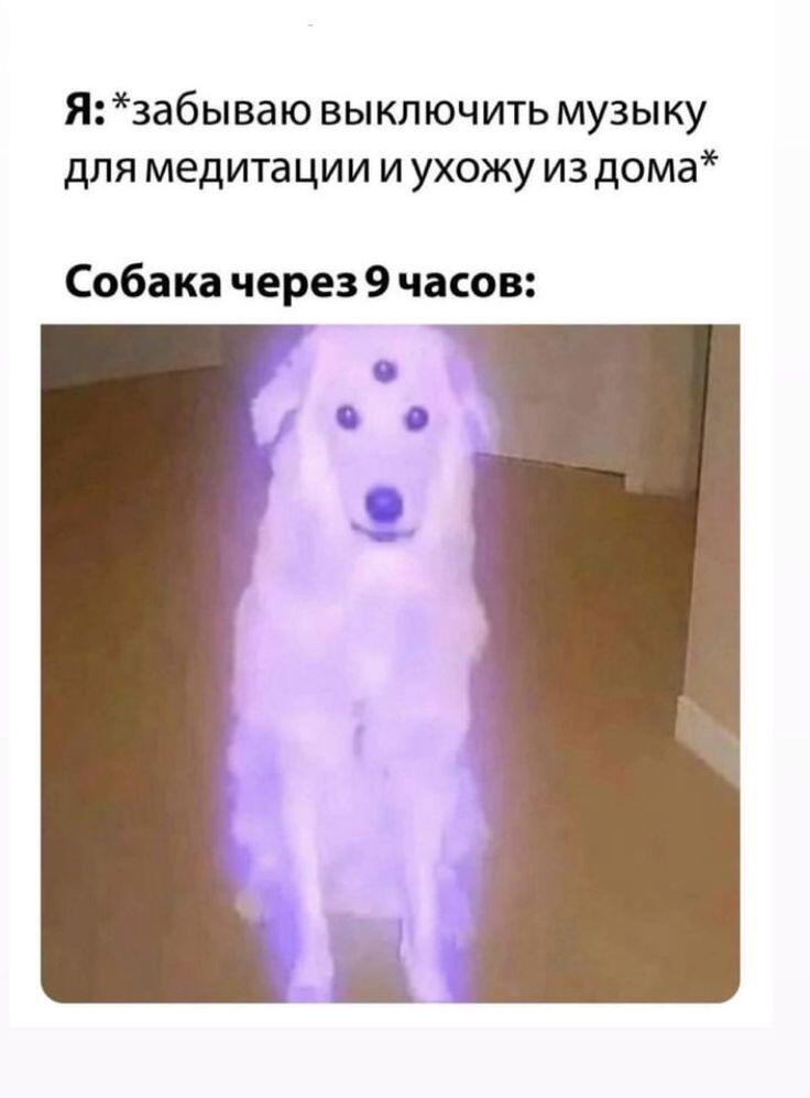 Мем без подписи