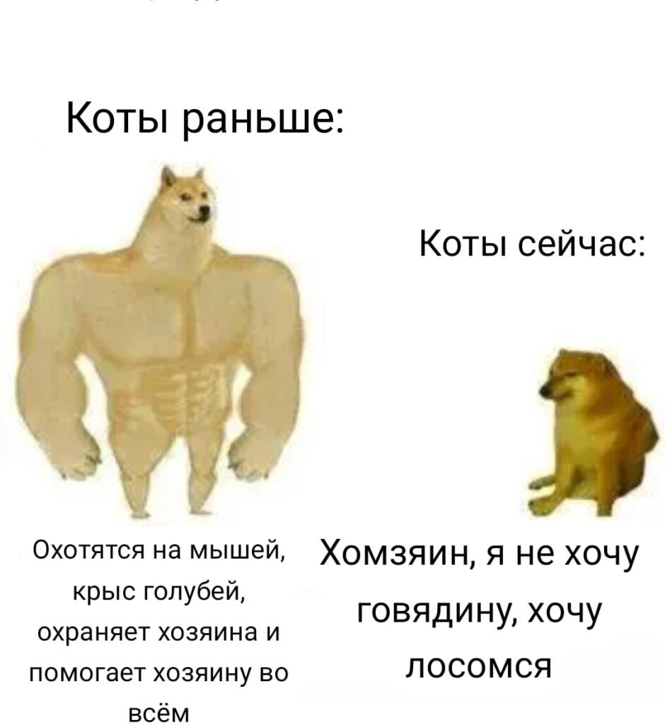 ....