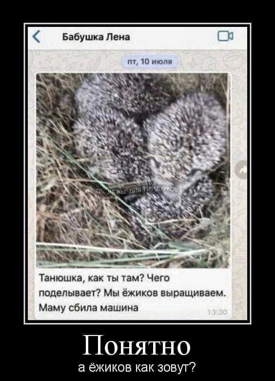 Добрейшаы переписка (нет)