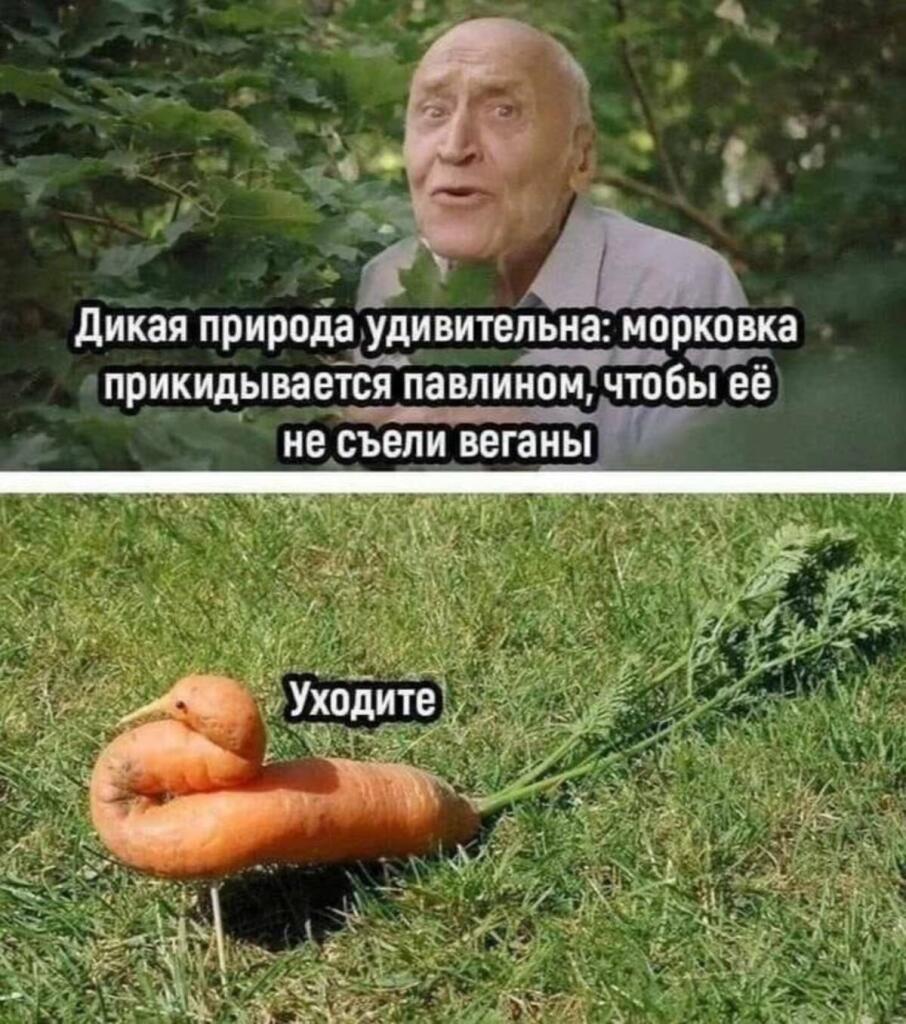 Мем не мой.