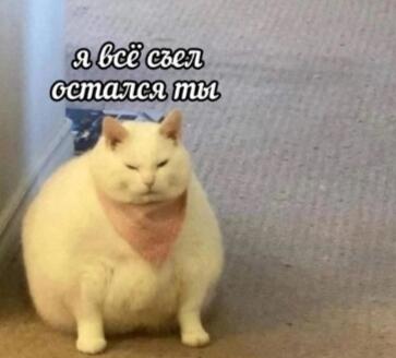 Мем без подписи