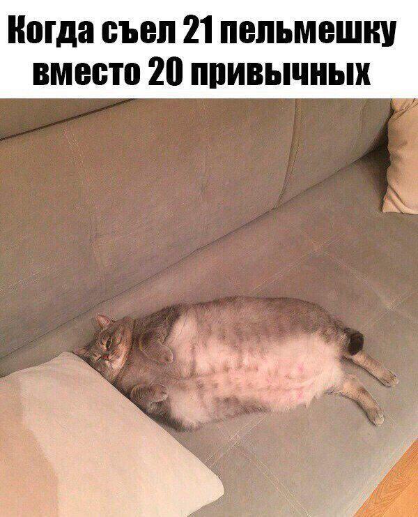 Ладно, мемов в пинтересте нормальных нет, придется либо пропадать либо...